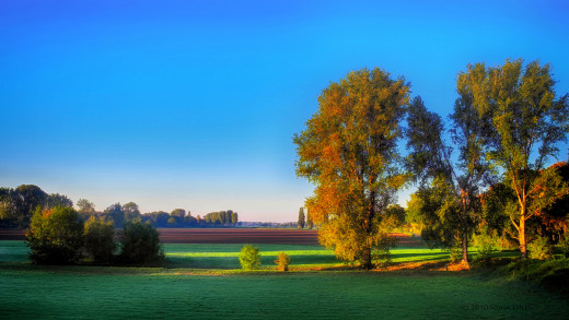 797293 (a): :1920x1080